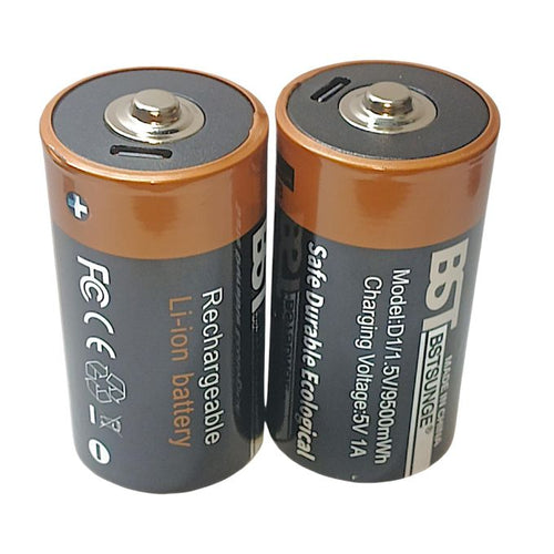2 Pile Rechargeable D 9500mWh  Special Chauffe-eau-gaz